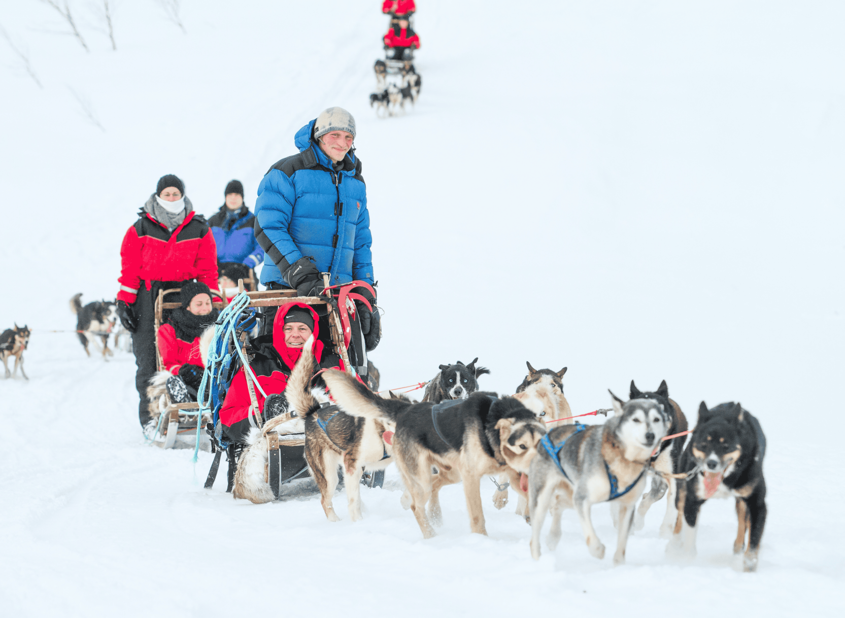 Tromsø Sami & Northern Lights Adventure 